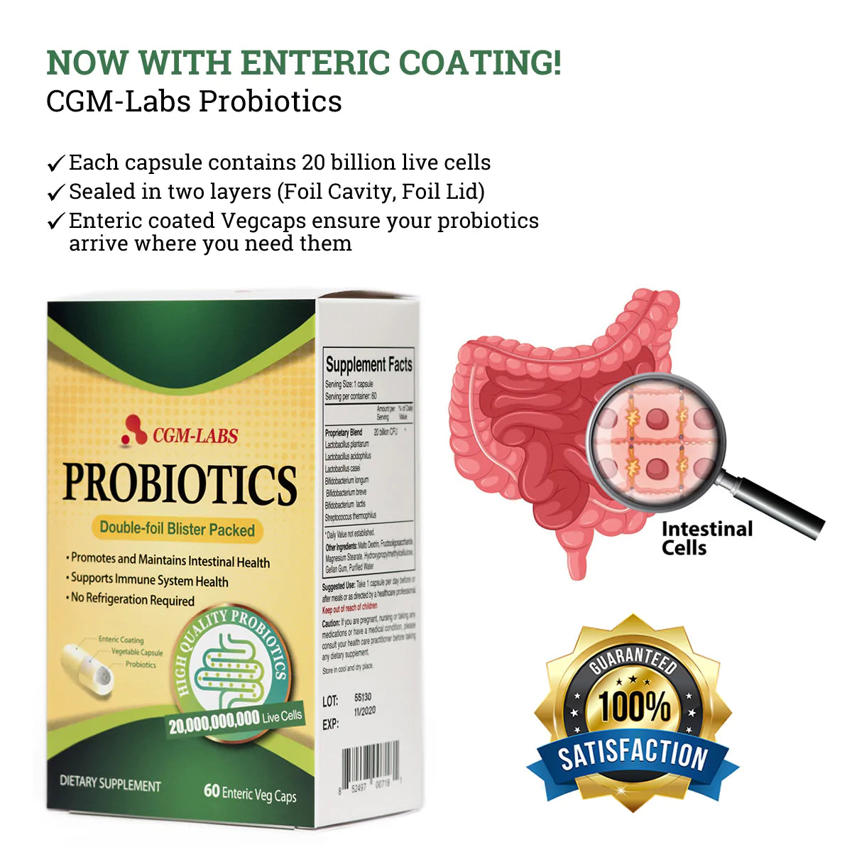 CGM Labs - Probiotics  프로바이오틱스 200억 유산균 60Count